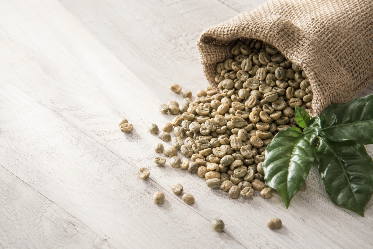 Saca de juta com grãos de café verde sobre mesa de madeira